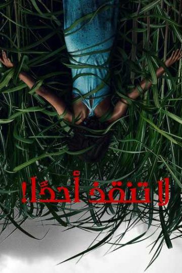 In the Tall Grass ( 2019 )