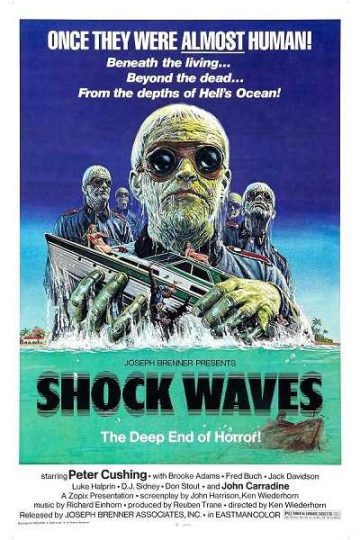 Shock Waves ( 1977 )