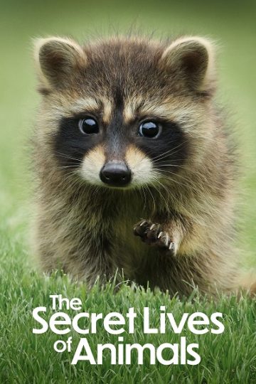 The Secret Lives of Animals الموسم الاول الحلقة 9