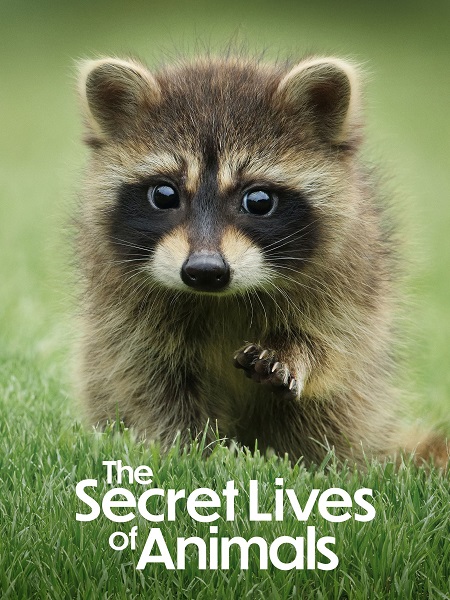 مسلسل The Secret Lives of Animals الموسم الاول الحلقة 9 مترجمة