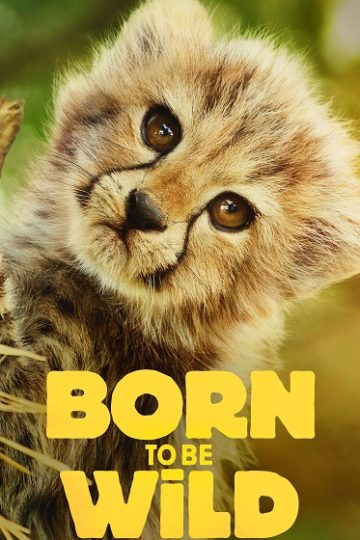 Born to be Wild الموسم الأول 1 الحلقة 1