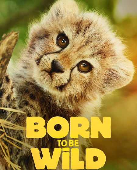 مشاهدة مسلسل Born to be Wild الموسم الأول 1 الحلقة 1