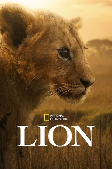 Lion الحلقة 2
