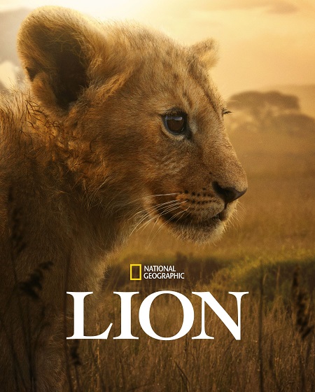 مشاهدة مسلسل Lion الحلقة 1
